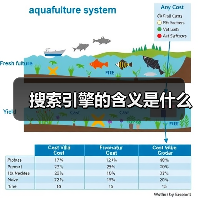 搜索引擎的含义是什么(图4) 搜索引擎的含义是什么(图4)