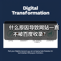 什么原因导致网站一直不被百度收录?(图2) 什么原因导致网站一直不被百度收录?(图2)