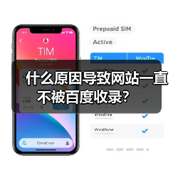 什么原因导致网站一直不被百度收录?(图3) 什么原因导致网站一直不被百度收录?(图3)