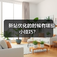 新站优化的时候有哪些小技巧?(图4) 新站优化的时候有哪些小技巧?(图4)