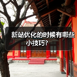 新站优化的时候有哪些小技巧?(图1) 新站优化的时候有哪些小技巧?(图1)
