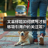 文章标题如何撰写才能够吸引用户的关注呢?(图2) 文章标题如何撰写才能够吸引用户的关注呢?(图2)