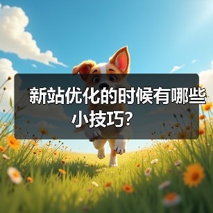新站优化的时候有哪些小技巧?(图3) 新站优化的时候有哪些小技巧?(图3)