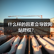 什么样的因素会导致网站降权?(图3) 什么样的因素会导致网站降权?(图3)