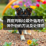 百度判断垃圾外链与作弊外链的方法及处理原则(图2) 百度判断垃圾外链与作弊外链的方法及处理原则(图2)