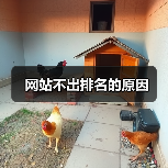网站不出排名的原因(图3) 网站不出排名的原因(图3)
