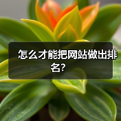 怎么才能把网站做出排名?(图4) 怎么才能把网站做出排名?(图4)