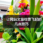 让网站文章收录飞起的几点技巧(图3) 让网站文章收录飞起的几点技巧(图3)
