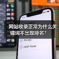 网站收录正常为什么关键词不出现排名?(图2) 网站收录正常为什么关键词不出现排名?(图2)