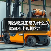 网站收录正常为什么关键词不出现排名?(图1) 网站收录正常为什么关键词不出现排名?(图1)