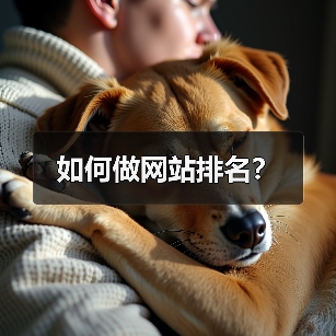 如何做网站排名?(图2) 如何做网站排名?(图2)