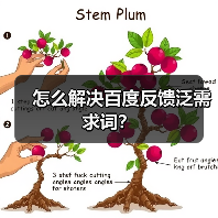 怎么解决百度反馈泛需求词?(图1) 怎么解决百度反馈泛需求词?(图1)