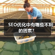 SEO优化中有哪些不利的因素?(图4) SEO优化中有哪些不利的因素?(图4)