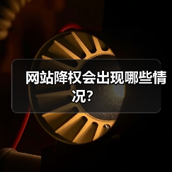 网站降权会出现哪些情况?(图1) 网站降权会出现哪些情况?(图1)