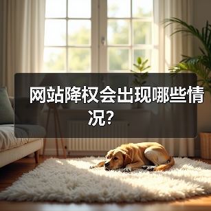 网站降权会出现哪些情况?(图4) 网站降权会出现哪些情况?(图4)