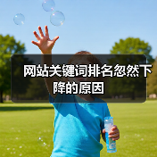 网站关键词排名忽然下降的原因(图4) 网站关键词排名忽然下降的原因(图4)