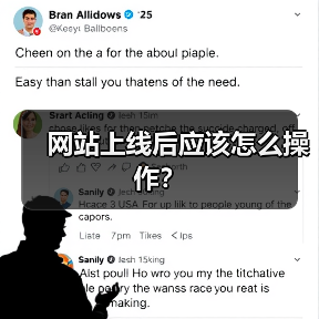 网站上线后应该怎么操作?(图3) 网站上线后应该怎么操作?(图3)