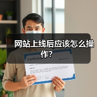 网站上线后应该怎么操作?(图1) 网站上线后应该怎么操作?(图1)
