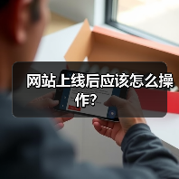 网站上线后应该怎么操作?(图4) 网站上线后应该怎么操作?(图4)