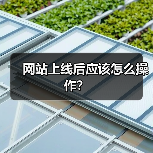 网站上线后应该怎么操作?(图2) 网站上线后应该怎么操作?(图2)