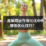 流量网站在做优化中有哪些优化技巧?(图1) 流量网站在做优化中有哪些优化技巧?(图1)
