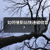 如何使新站快速被收录?(图2) 如何使新站快速被收录?(图2)