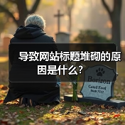 导致网站标题堆砌的原因是什么?(图2) 导致网站标题堆砌的原因是什么?(图2)