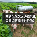 网站优化怎么选择优化关键词更能提升价值?(图2) 网站优化怎么选择优化关键词更能提升价值?(图2)