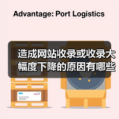 造成网站收录或收录大幅度下降的原因有哪些?(图2) 造成网站收录或收录大幅度下降的原因有哪些?(图2)