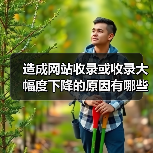 造成网站收录或收录大幅度下降的原因有哪些?(图3) 造成网站收录或收录大幅度下降的原因有哪些?(图3)