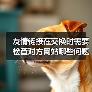 友情链接在交换时需要检查对方网站哪些问题呢?(图1) 友情链接在交换时需要检查对方网站哪些问题呢?(图1)