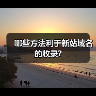 哪些方法利于新站域名的收录?(图1) 哪些方法利于新站域名的收录?(图1)