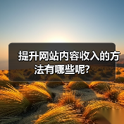 提升网站内容收入的方法有哪些呢?(图1) 提升网站内容收入的方法有哪些呢?(图1)