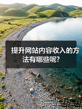提升网站内容收入的方法有哪些呢?(图4) 提升网站内容收入的方法有哪些呢?(图4)