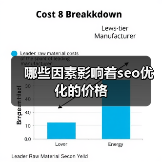 哪些因素影响着seo优化的价格(图4) 哪些因素影响着seo优化的价格(图4)