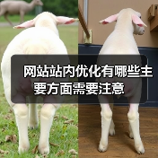 网站站内优化有哪些主要方面需要注意(图2) 网站站内优化有哪些主要方面需要注意(图2)