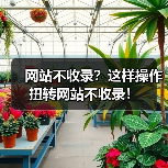 网站不收录?这样操作扭转网站不收录!(图2) 网站不收录?这样操作扭转网站不收录!(图2)