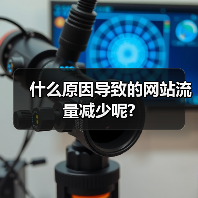 什么原因导致的网站流量减少呢?(图4) 什么原因导致的网站流量减少呢?(图4)