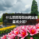 什么原因导致的网站流量减少呢?(图1) 什么原因导致的网站流量减少呢?(图1)