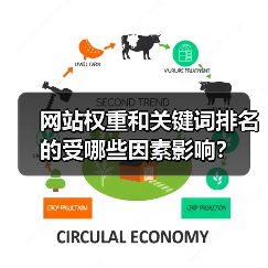 网站权重和关键词排名的受哪些因素影响?(图2) 网站权重和关键词排名的受哪些因素影响?(图2)
