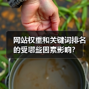 网站权重和关键词排名的受哪些因素影响?(图3) 网站权重和关键词排名的受哪些因素影响?(图3)