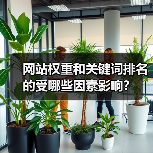 网站权重和关键词排名的受哪些因素影响?(图4) 网站权重和关键词排名的受哪些因素影响?(图4)