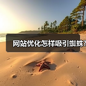 网站优化怎样吸引蜘蛛?(图3) 网站优化怎样吸引蜘蛛?(图3)