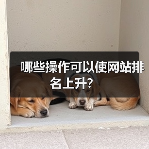 哪些操作可以使网站排名上升?(图4) 哪些操作可以使网站排名上升?(图4)