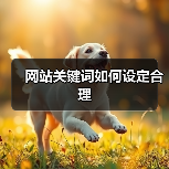 网站关键词如何设定合理(图4) 网站关键词如何设定合理(图4)