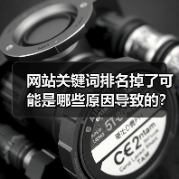网站关键词排名掉了可能是哪些原因导致的?(图3) 网站关键词排名掉了可能是哪些原因导致的?(图3)