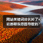 网站关键词排名掉了可能是哪些原因导致的?(图2) 网站关键词排名掉了可能是哪些原因导致的?(图2)