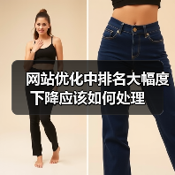 网站优化中排名大幅度下降应该如何处理(图1) 网站优化中排名大幅度下降应该如何处理(图1)