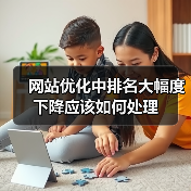 网站优化中排名大幅度下降应该如何处理(图2) 网站优化中排名大幅度下降应该如何处理(图2)