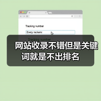 网站收录不错但是关键词就是不出排名(图4) 网站收录不错但是关键词就是不出排名(图4)